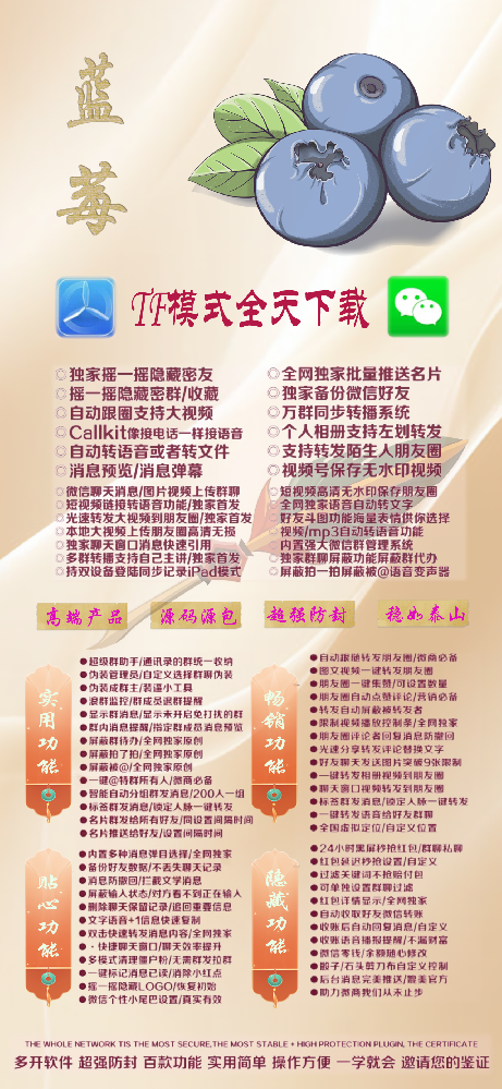 苹果TF蓝莓官网-活动码购买以及下载-赵子龙同款-不退换
